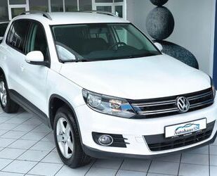 VW Tiguan Gebrauchtwagen