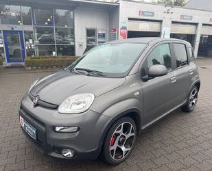 Fiat Panda Gebrauchtwagen