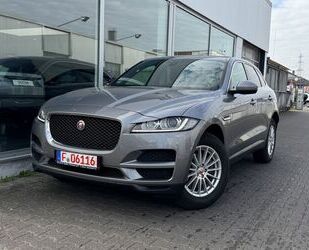 Jaguar F-Pace Gebrauchtwagen