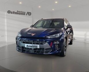 Cupra Terramar Gebrauchtwagen