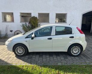 Fiat Punto Gebrauchtwagen