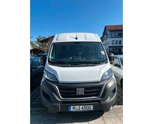 Fiat Ducato Gebrauchtwagen