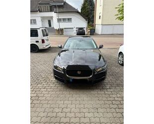 Jaguar XE Gebrauchtwagen