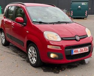 Fiat Panda Gebrauchtwagen