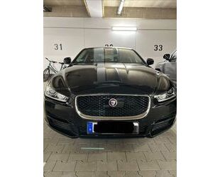 Jaguar XE Gebrauchtwagen