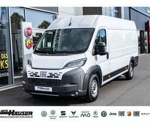 Fiat Ducato Gebrauchtwagen