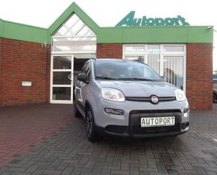 Fiat Panda Gebrauchtwagen