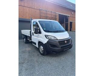 Fiat Ducato Gebrauchtwagen