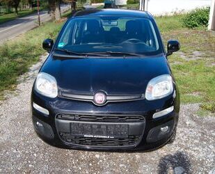 Fiat Panda Gebrauchtwagen