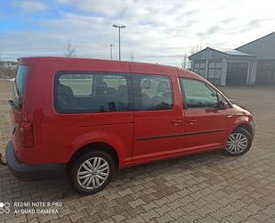 VW Caddy Maxi Gebrauchtwagen