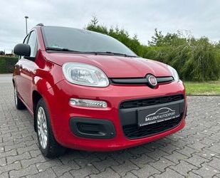 Fiat Panda Gebrauchtwagen