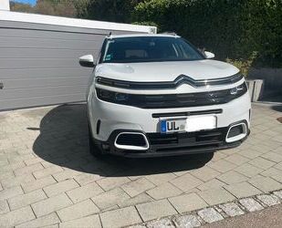 Citroen C5 Aircross Gebrauchtwagen
