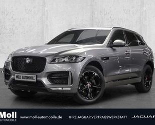 Jaguar F-Pace Gebrauchtwagen