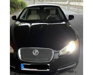 Jaguar XF Gebrauchtwagen