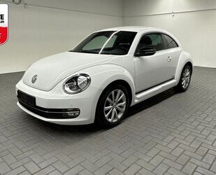 VW Beetle Gebrauchtwagen