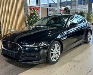 Jaguar XE Gebrauchtwagen