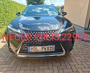 Lexus UX Gebrauchtwagen