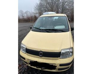 Fiat Panda Gebrauchtwagen
