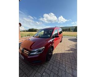 VW Caddy Maxi Gebrauchtwagen
