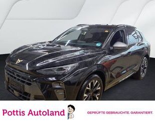 Cupra Terramar Gebrauchtwagen