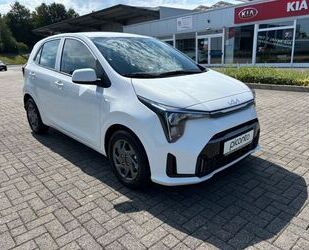 Kia Picanto Gebrauchtwagen