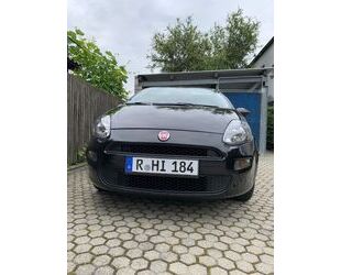 Fiat Punto Gebrauchtwagen