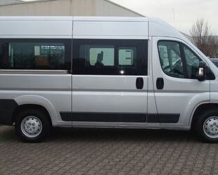 Fiat Ducato Gebrauchtwagen