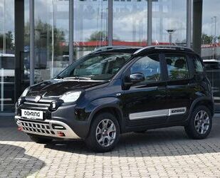 Fiat Panda Gebrauchtwagen