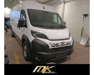 Fiat Ducato Gebrauchtwagen