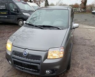 Fiat Panda Gebrauchtwagen