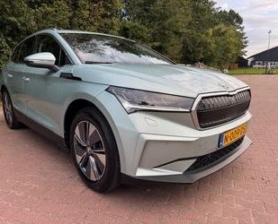 Skoda Enyaq Gebrauchtwagen