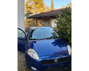 Fiat Punto Gebrauchtwagen