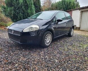 Fiat Punto Gebrauchtwagen
