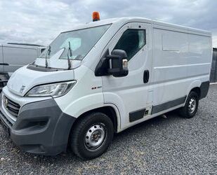 Fiat Ducato Gebrauchtwagen