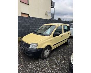 Fiat Panda Gebrauchtwagen