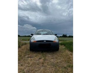 Ford Ka/Ka+ Gebrauchtwagen