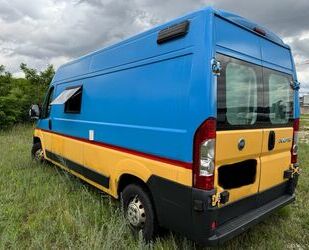 Fiat Ducato Gebrauchtwagen
