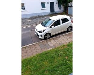 Kia Picanto Gebrauchtwagen
