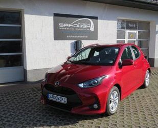 Mazda 2 Hybrid Gebrauchtwagen