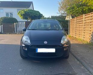 Fiat Punto Gebrauchtwagen