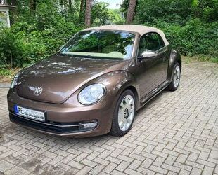 VW Beetle Gebrauchtwagen