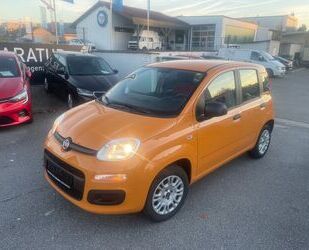 Fiat Panda Gebrauchtwagen
