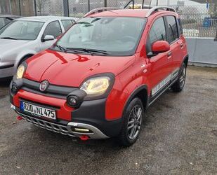 Fiat Panda Gebrauchtwagen