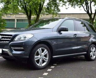 Mercedes-Benz ML 250 Gebrauchtwagen