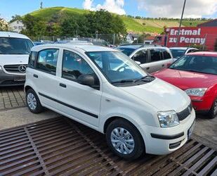 Fiat New Panda Gebrauchtwagen