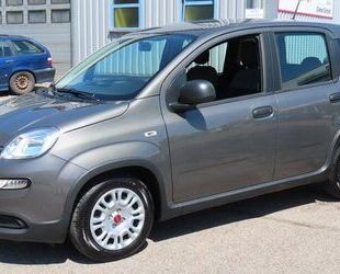 Fiat Panda Gebrauchtwagen