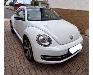 VW Beetle Gebrauchtwagen