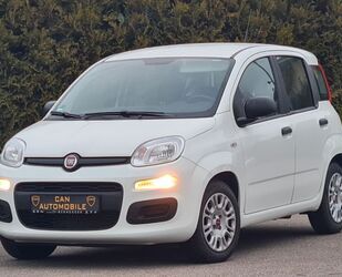 Fiat Panda Gebrauchtwagen
