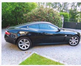 Jaguar XK Gebrauchtwagen