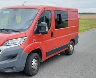 Fiat Ducato Gebrauchtwagen